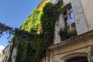 Arles guide window