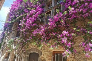 French Riviera private tours - G